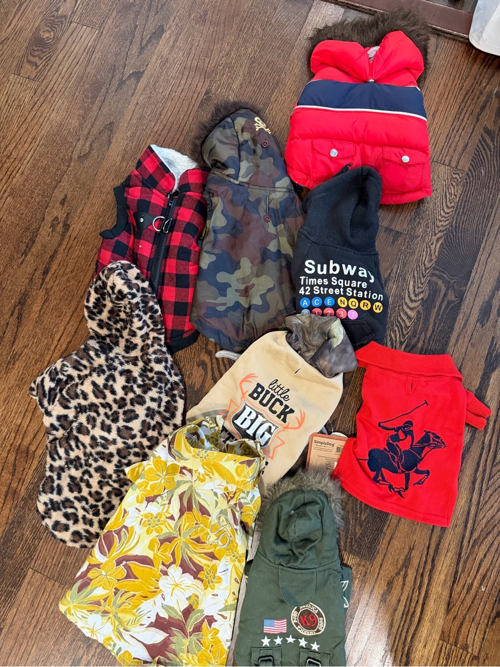 Small / XS Dog Clothes – Bundles 🐾